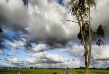 talkSport：阿森纳和切尔西竞争RB莱比锡的哈维-西蒙斯